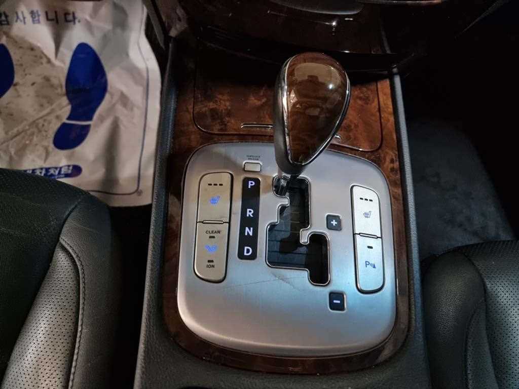 HYUNDAI Genesis - Vista 12