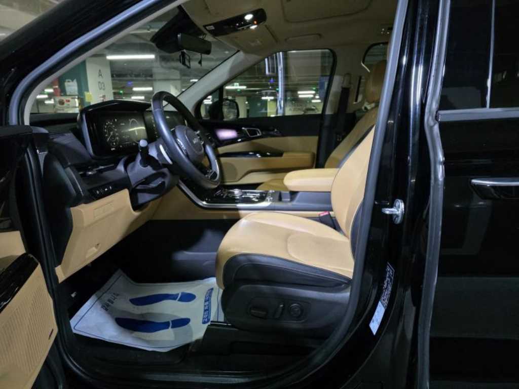 KIA Carnival - Vista 6