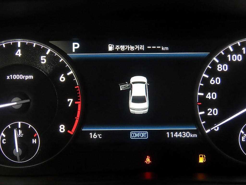 Genesis G90 - Vista 9