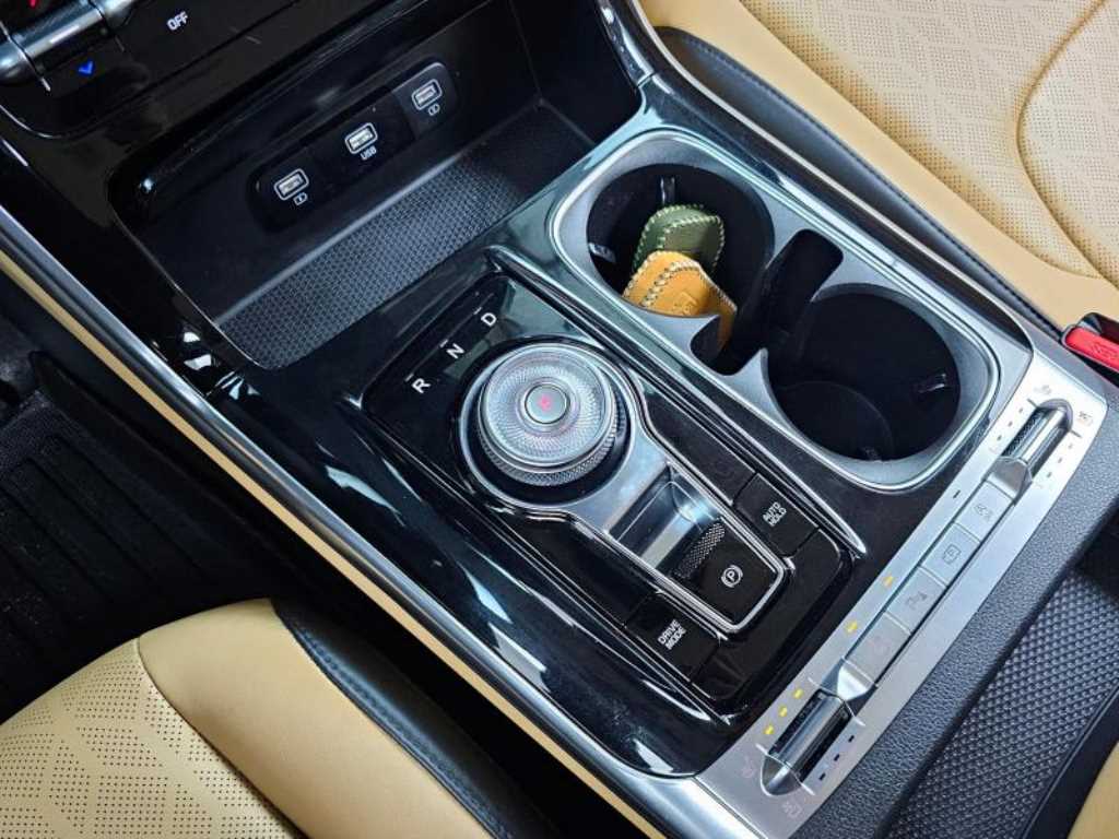 KIA Carnival - Vista 9