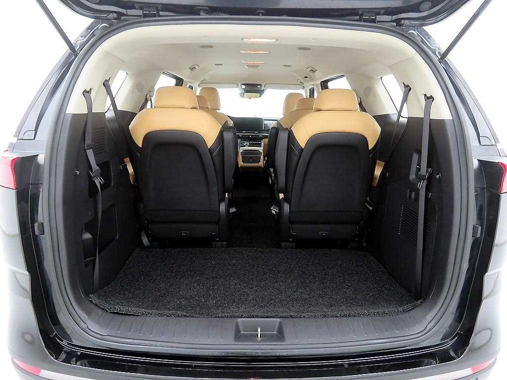 KIA Carnival - Vista 5