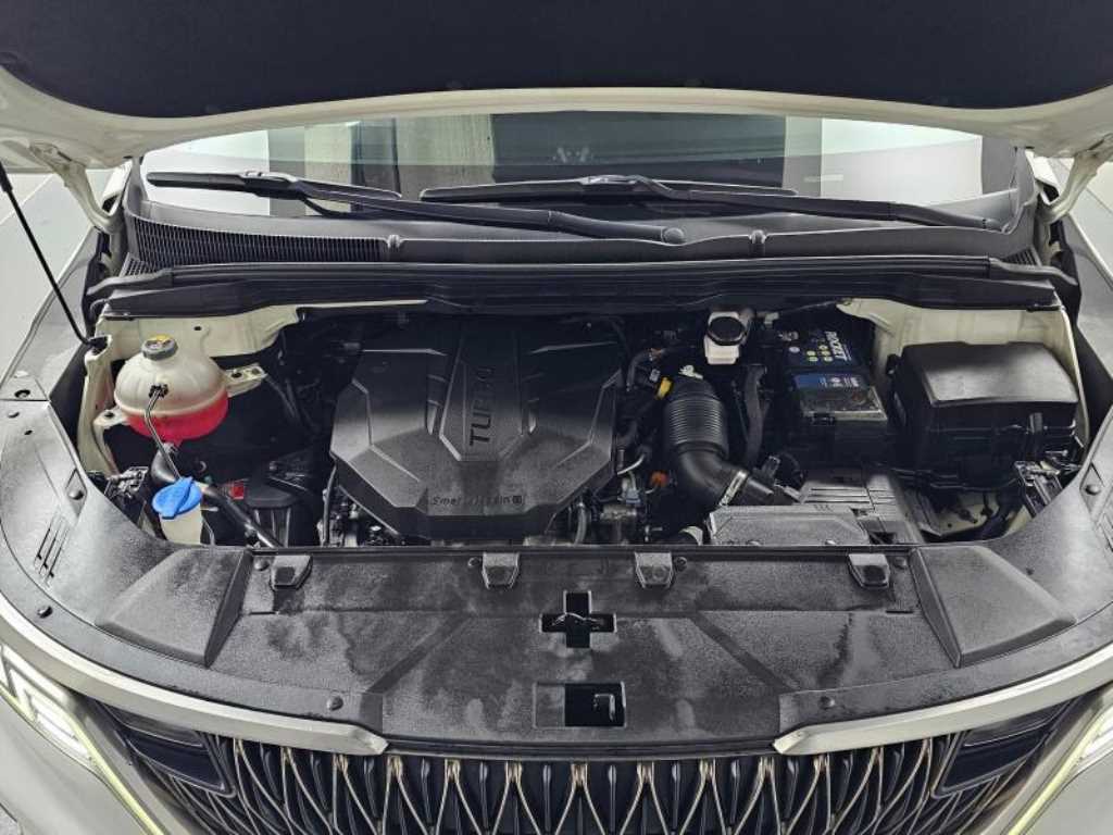 KIA Carnival - Vista 6