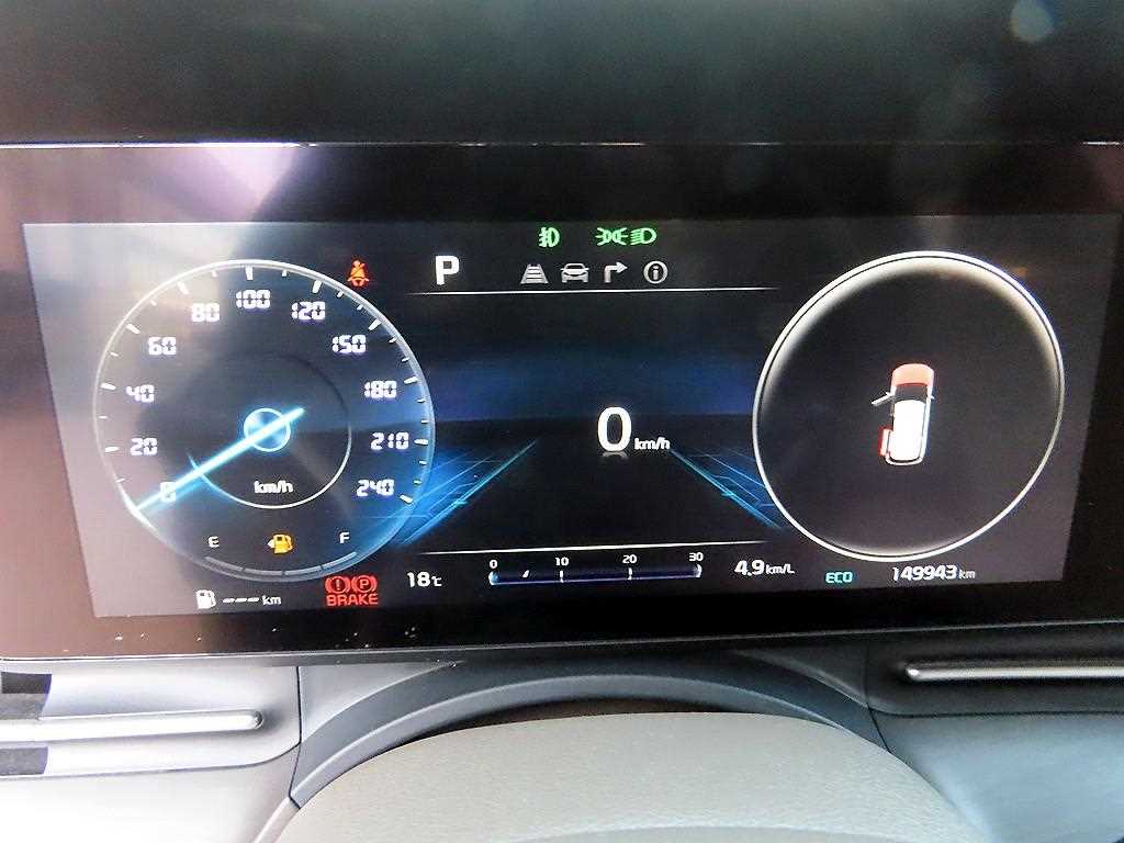 KIA Carnival - Vista 8