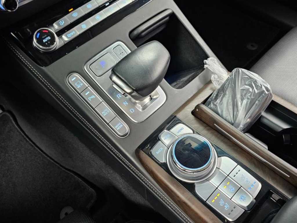 Genesis G90 - Vista 9