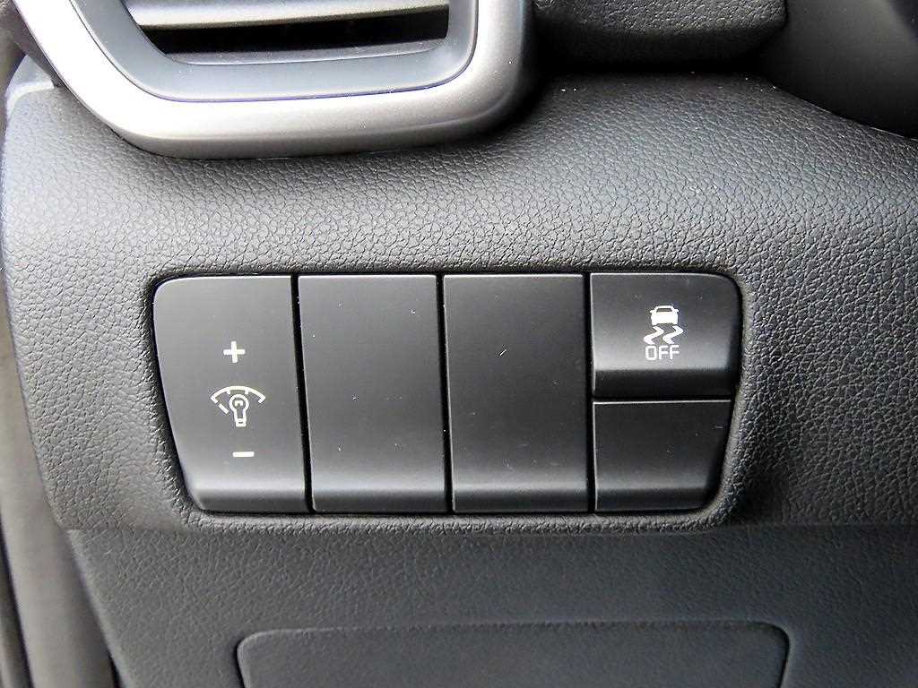 KIA Sportage - Vista 12