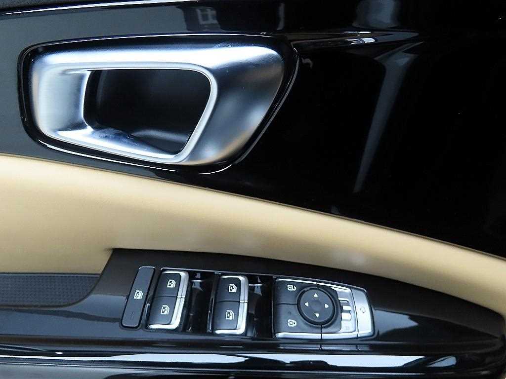 KIA Carnival - Vista 11