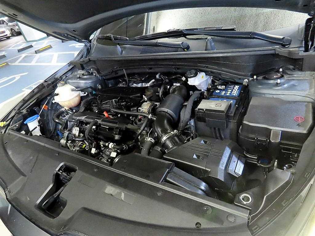 KIA Sportage 2022 - Importación desde Corea - HF Imports Iquique - Foto 19