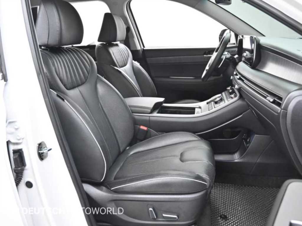 HYUNDAI Palisade - Vista 10