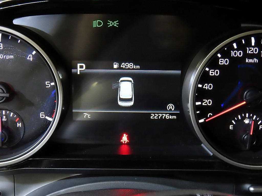 KIA Carnival - Vista 9