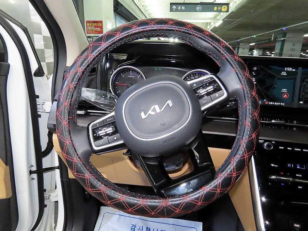 KIA Carnival - Vista 8