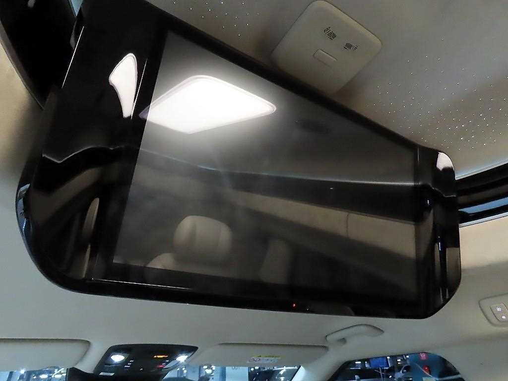 KIA Carnival - Vista 12