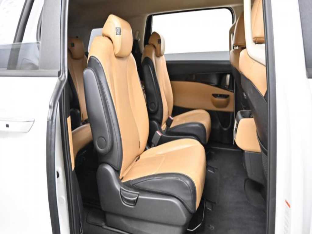 KIA Carnival - Vista 12