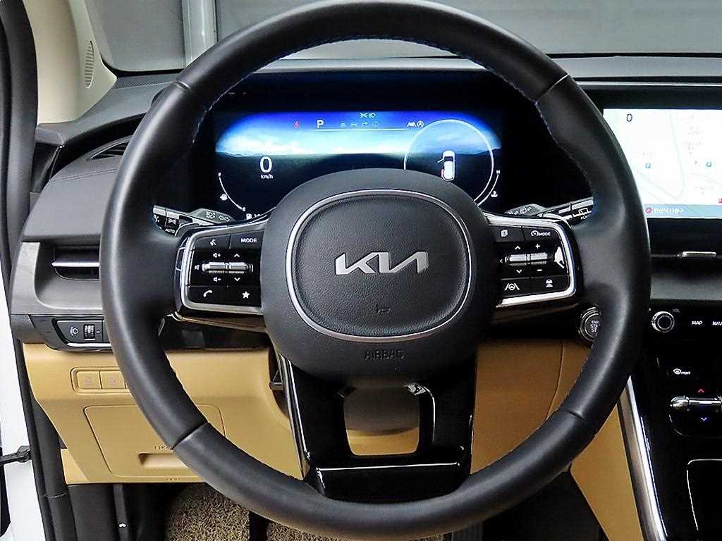 KIA Carnival - Vista 9