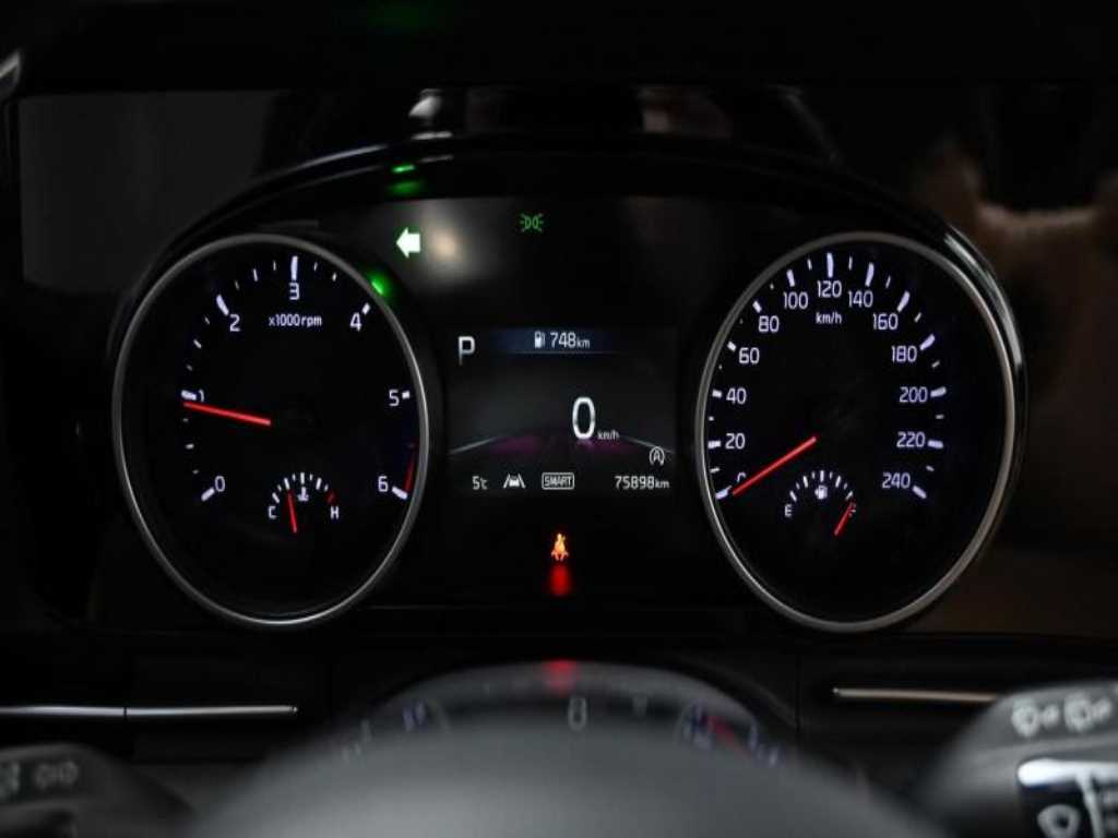 KIA Carnival - Vista 8