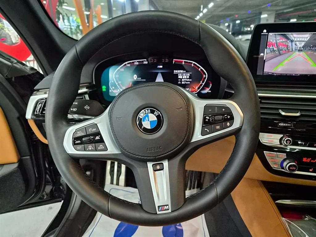 BMW 5 Series - Vista 9