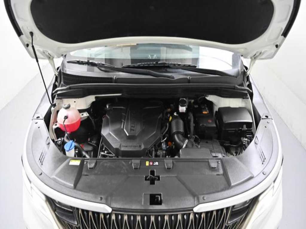 KIA Carnival - Vista 6