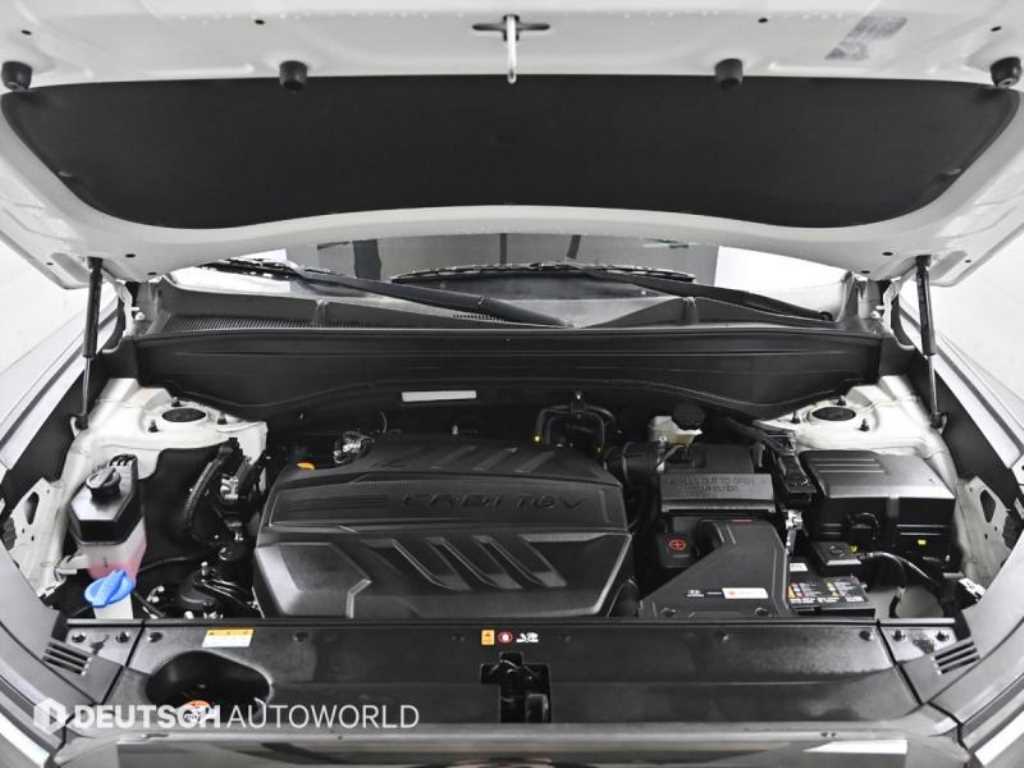 HYUNDAI Palisade - Vista 6