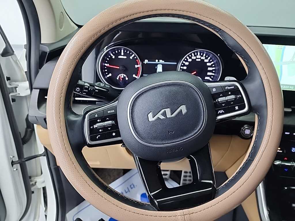 KIA Carnival - Vista 9