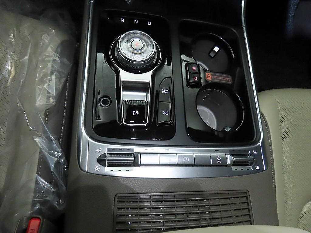 KIA Carnival - Vista 9