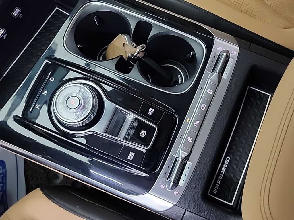 KIA Carnival - Vista 8