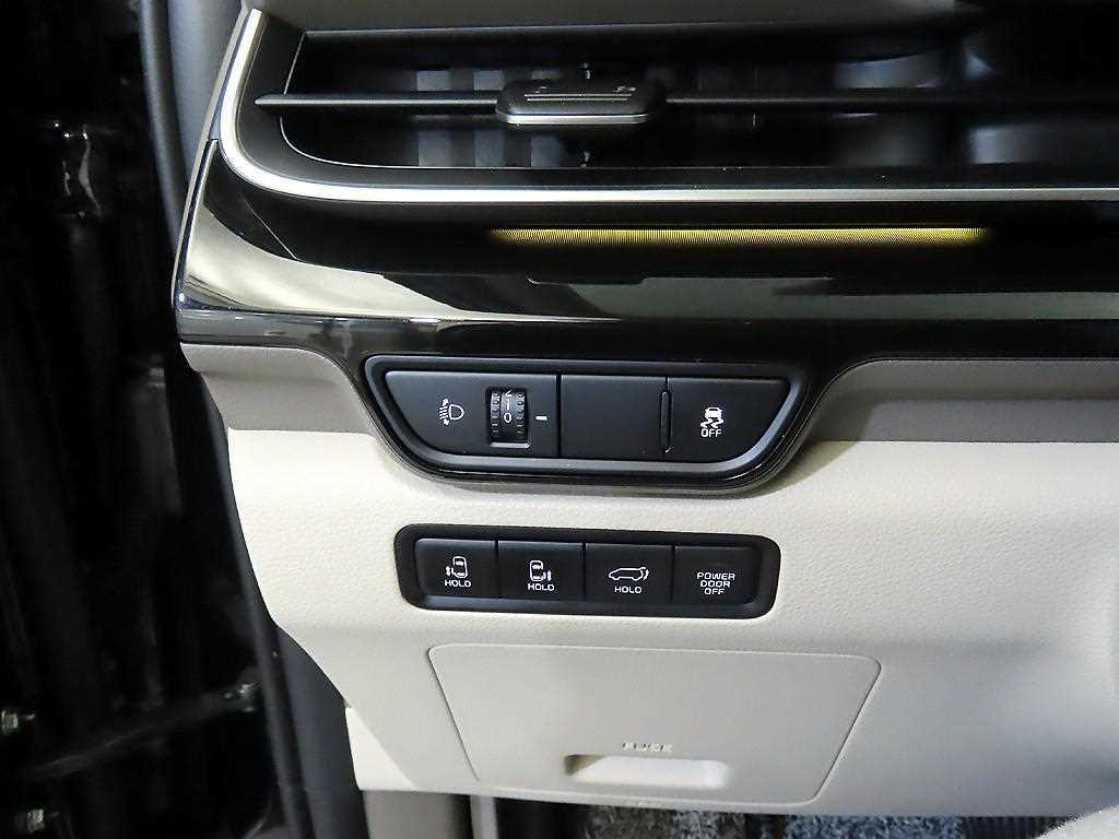 KIA Carnival - Vista 10