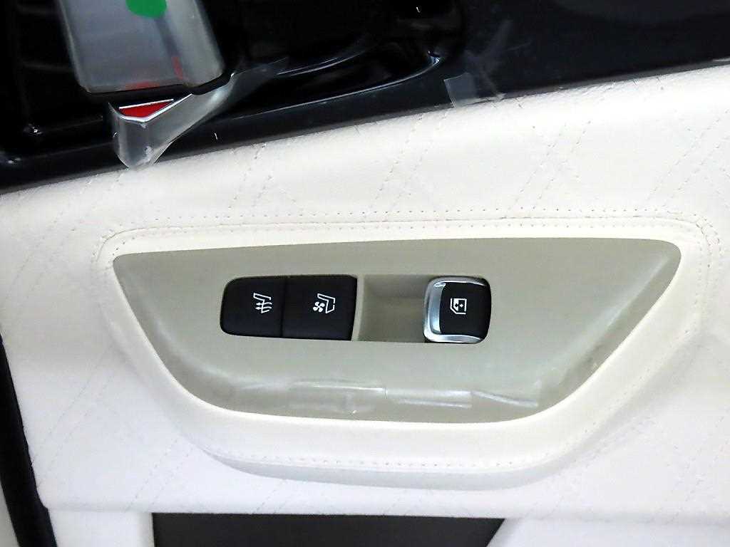 KIA Carnival - Vista 12