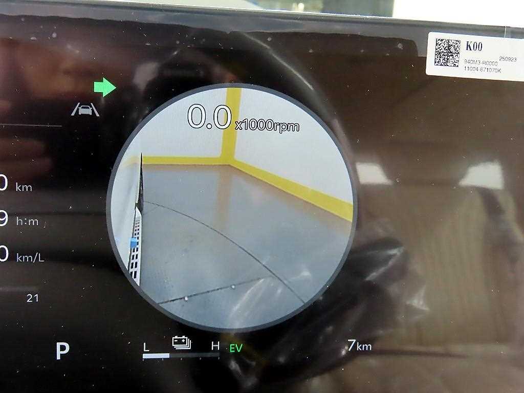 KIA Carnival - Vista 8