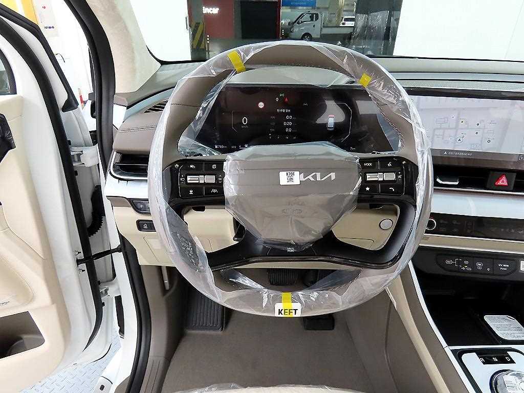 KIA Carnival - Vista 9