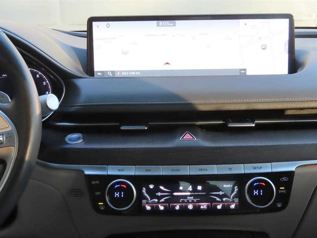 Genesis G80 - Vista 10