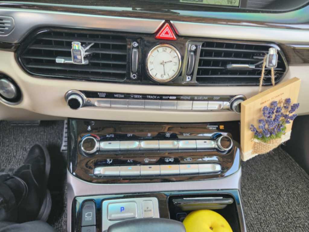 Genesis EQ900 - Vista 9