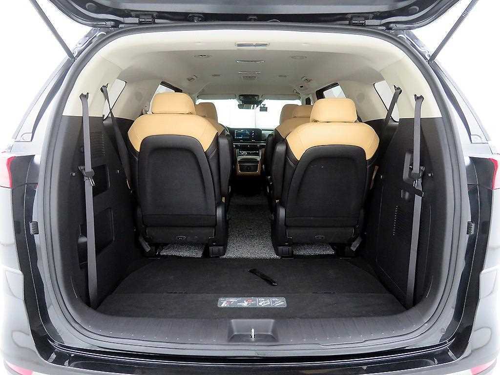 KIA Carnival - Vista 5