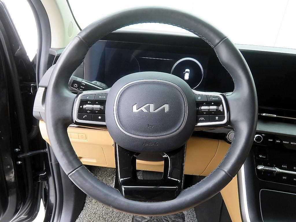 KIA Carnival - Vista 11