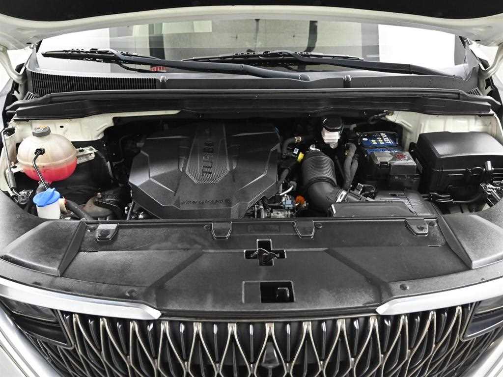 KIA Carnival - Vista 6