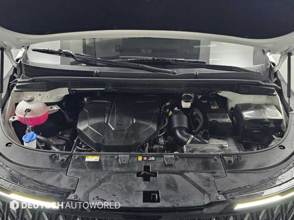 KIA Carnival - Vista 6