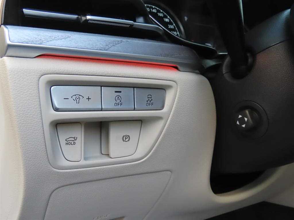 Genesis G80 - Vista 12