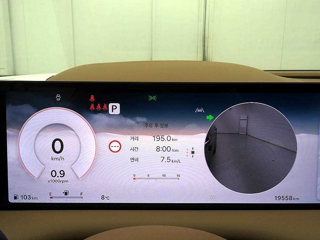 Genesis G80 - Vista 12