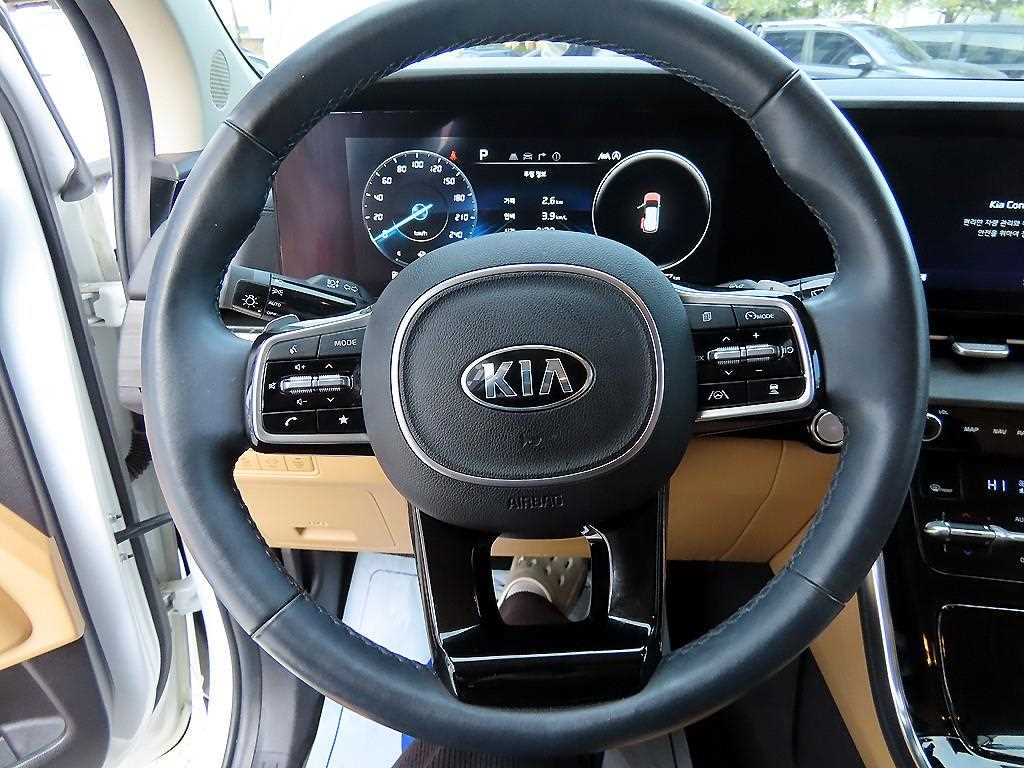 KIA Carnival - Vista 9