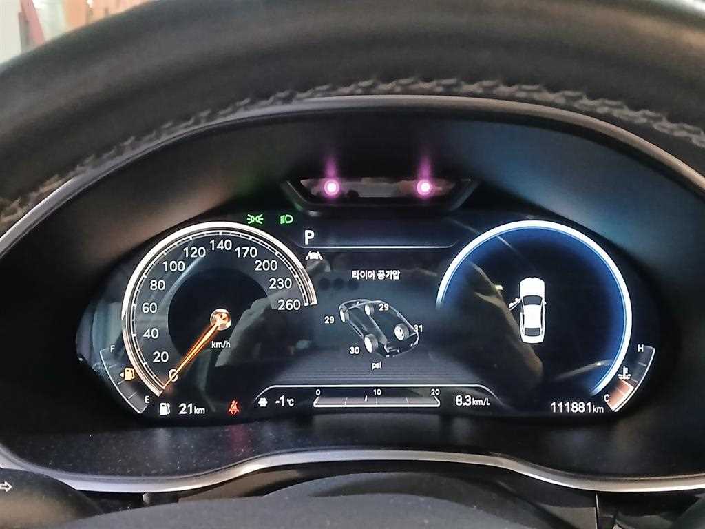 Genesis G80 - Vista 10