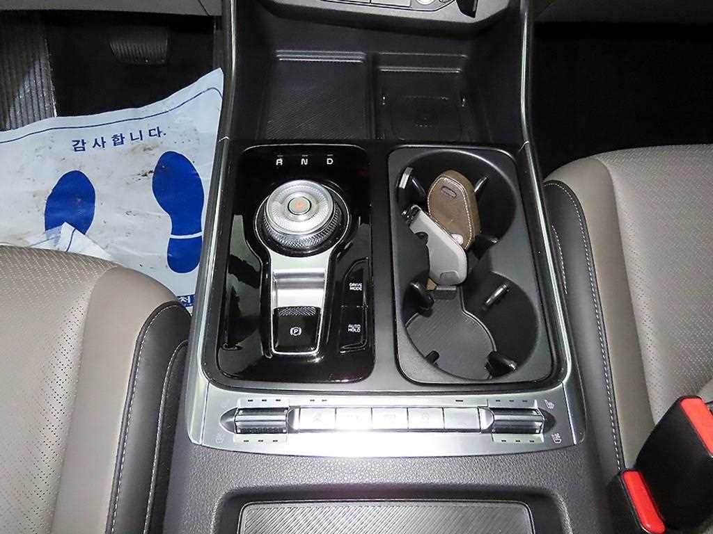 KIA Carnival - Vista 12