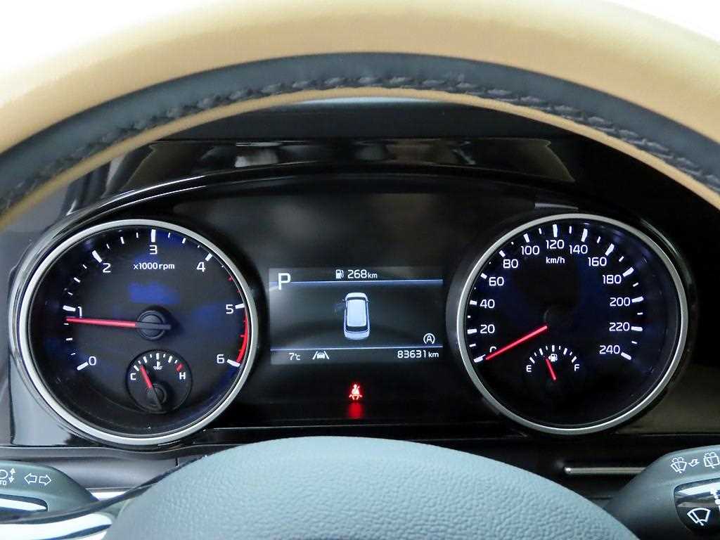 KIA Carnival - Vista 6