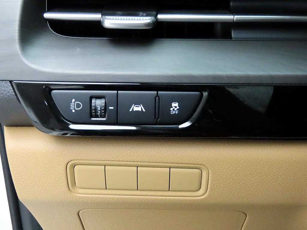 KIA Carnival - Vista 12