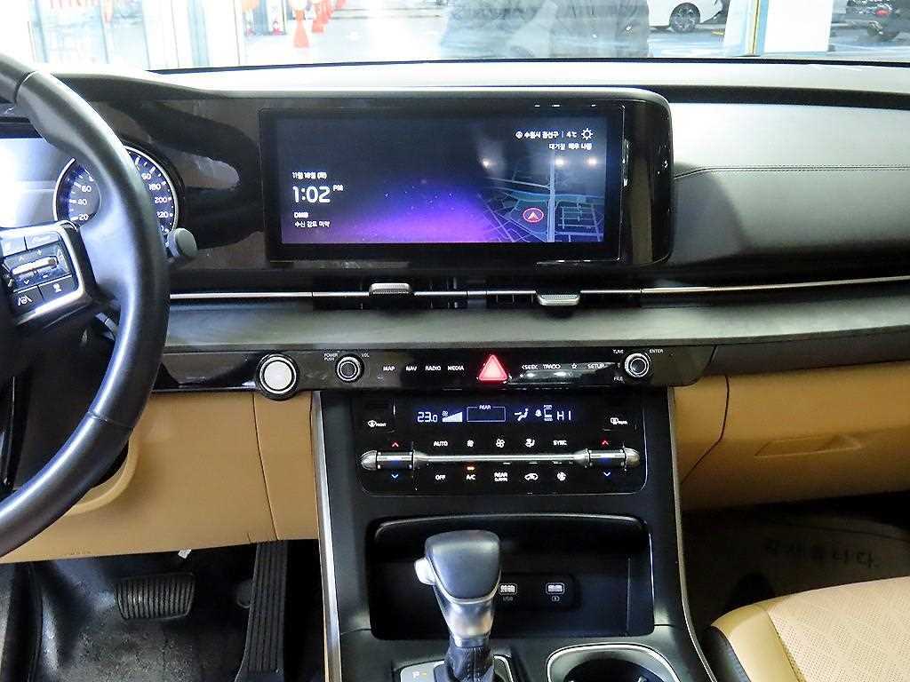 KIA Carnival - Vista 12