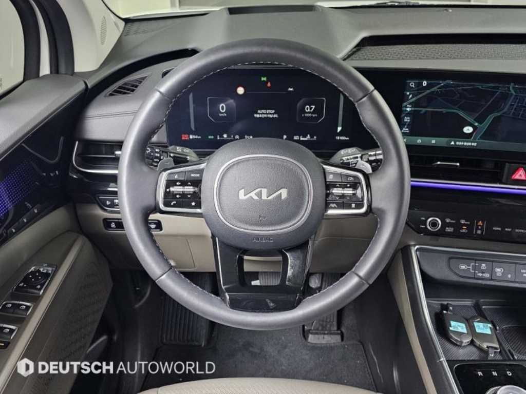 KIA Carnival - Vista 12