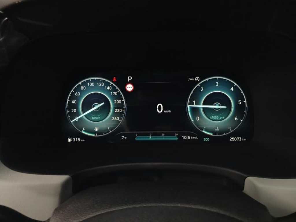 HYUNDAI Palisade - Vista 10