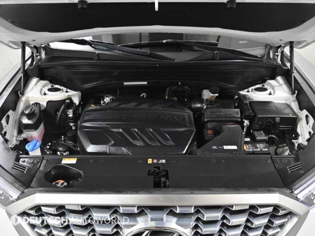 HYUNDAI Palisade - Vista 6