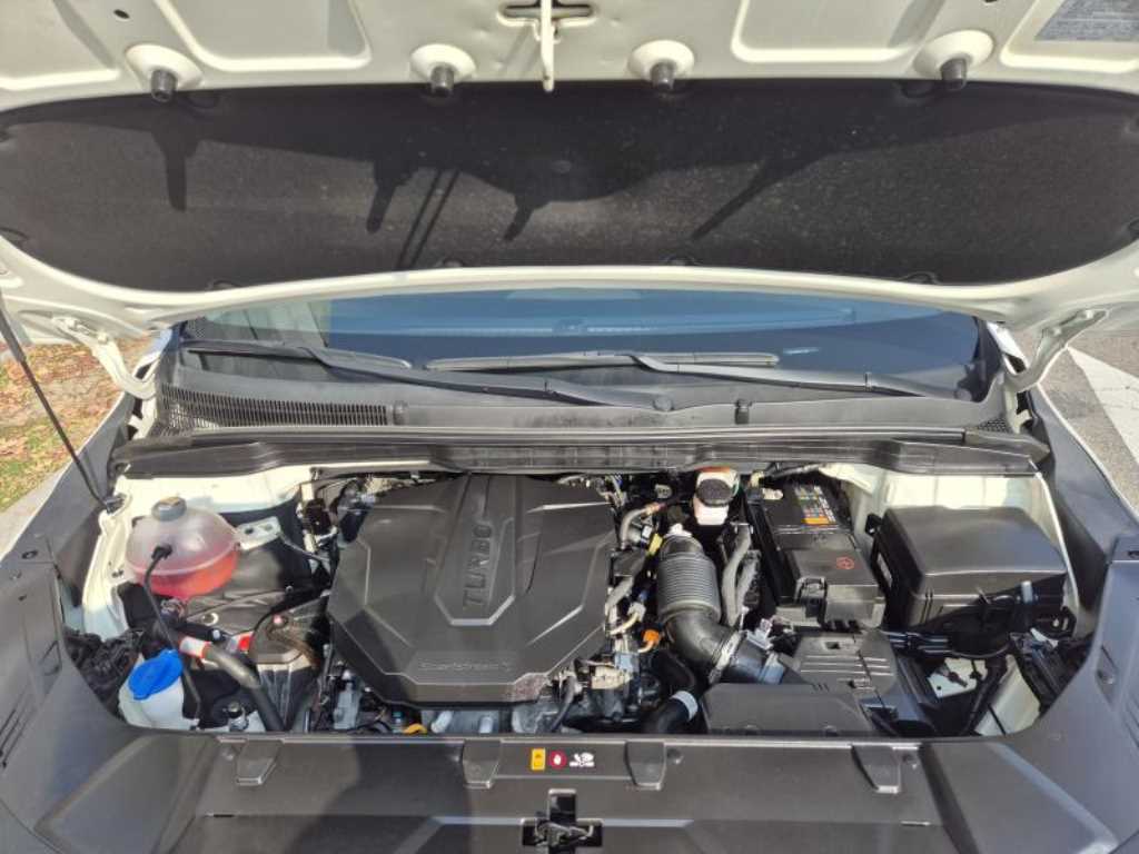 KIA Carnival - Vista 12