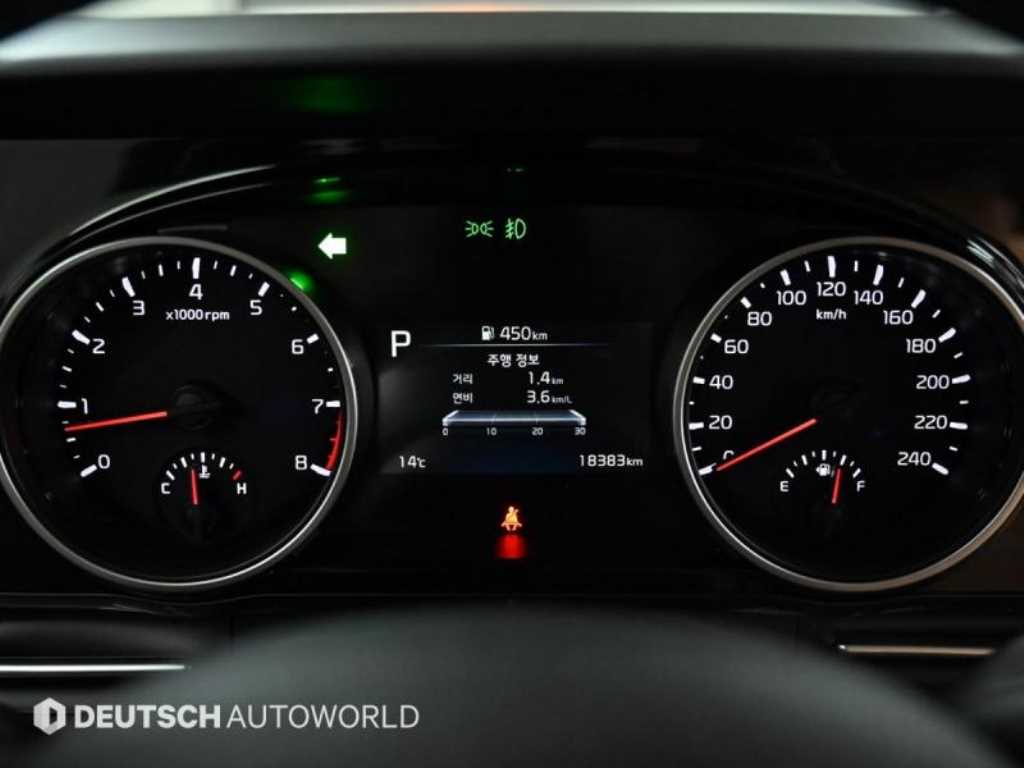 KIA Carnival - Vista 8