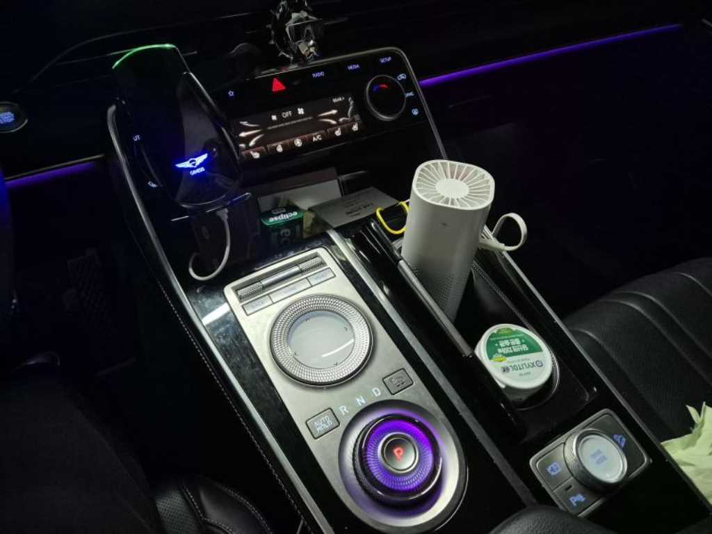 Genesis GV80 - Vista 10