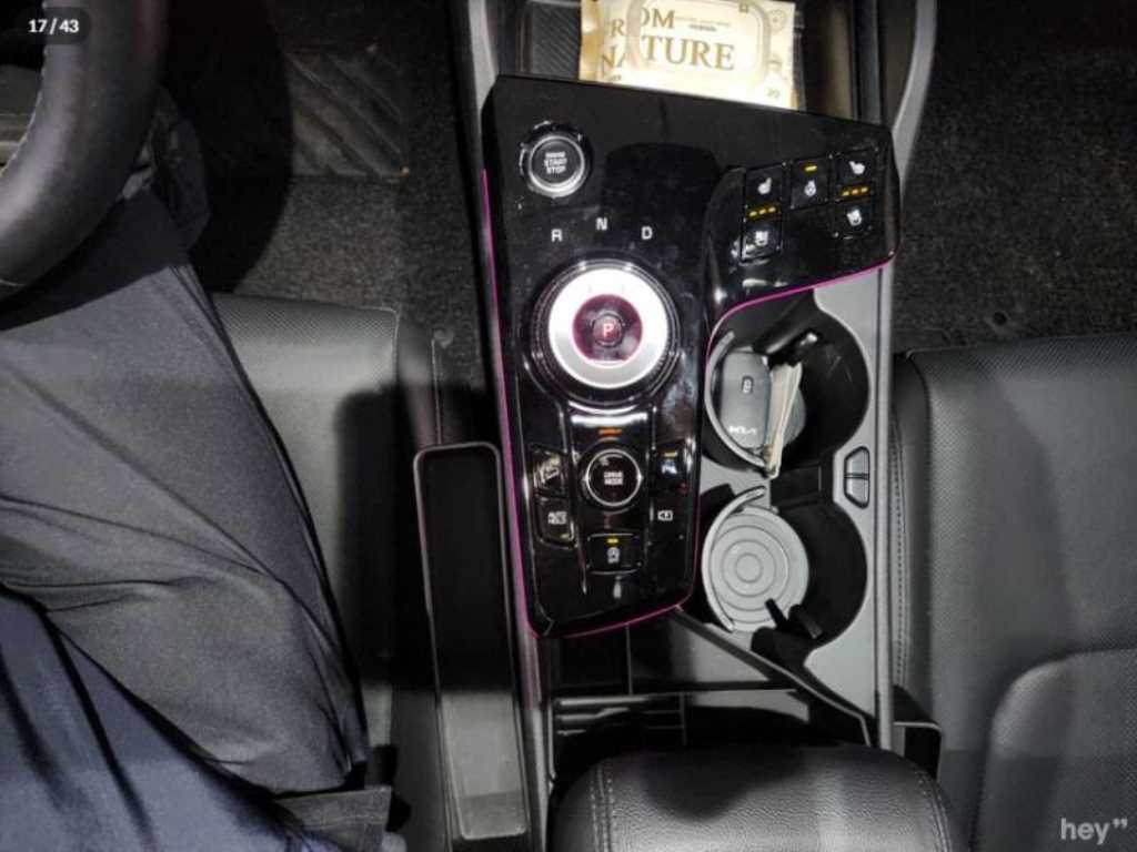 KIA Sportage - Vista 12