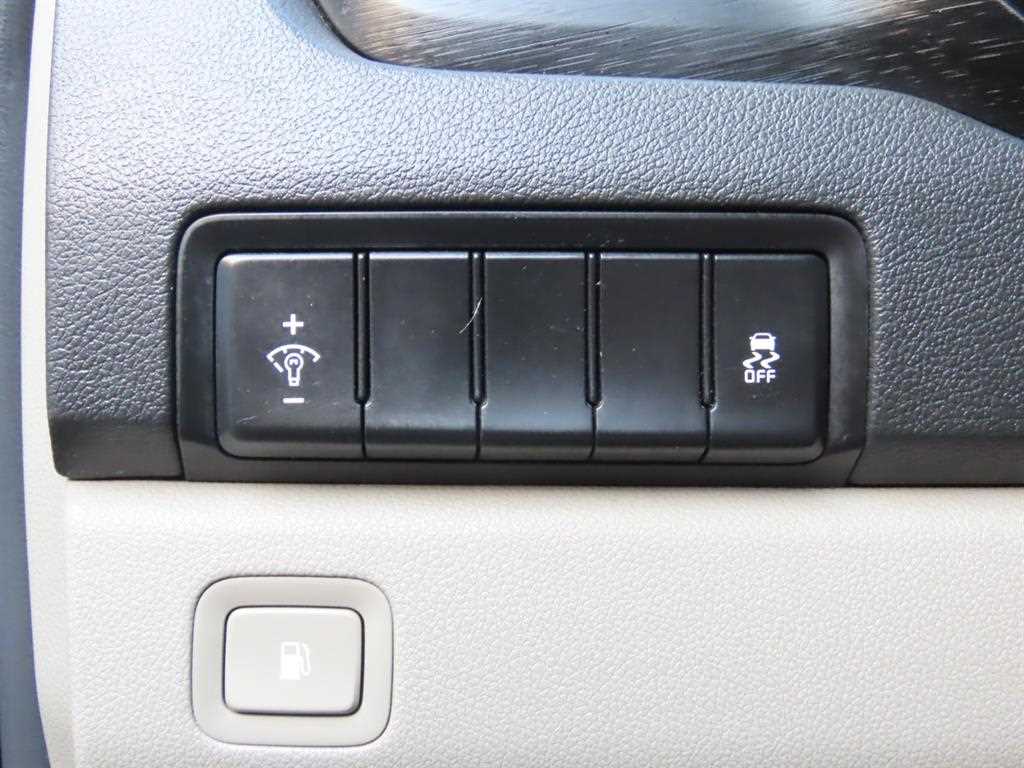 KIA Carnival 2019 Gris - Importación desde Corea - HF Imports Iquique - Foto 16